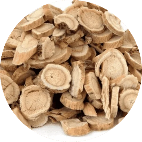 Astragalus Root Extract